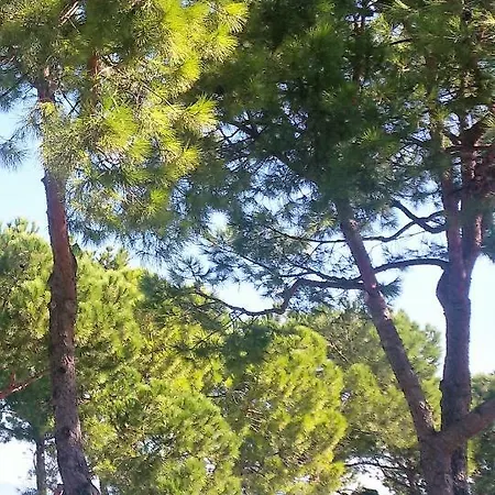 Lakefront Flat * Desenzano del Garda